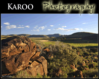 Karoo Fine Art Photography